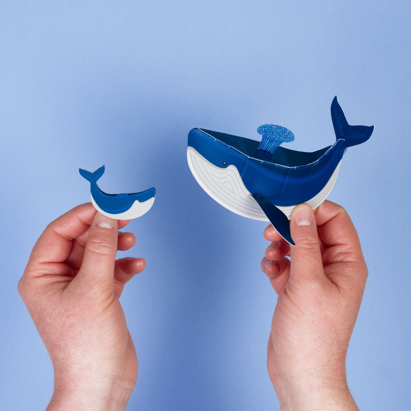 Create Your Own Wobbly Whale Kit