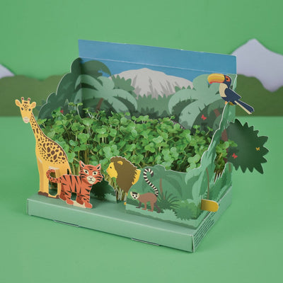 Grow Your Own Mini Jungle Garden Kit