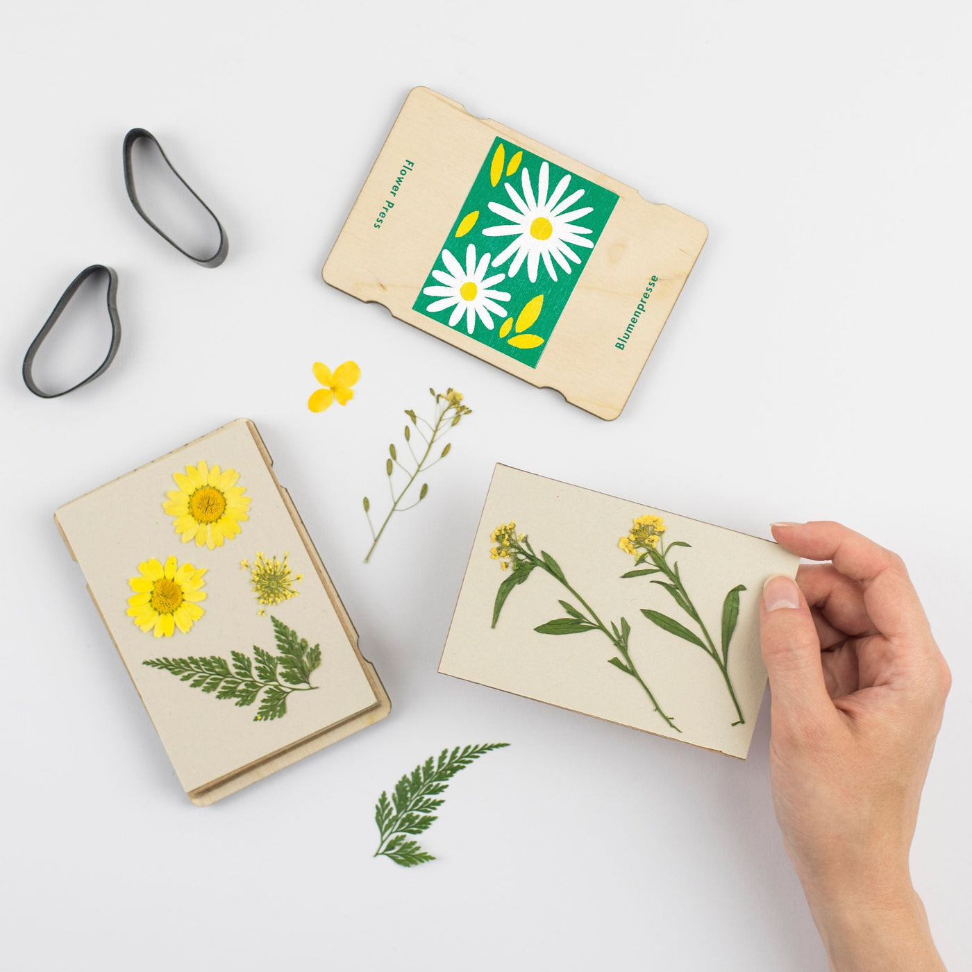 Pocket Flower Press - Coloured