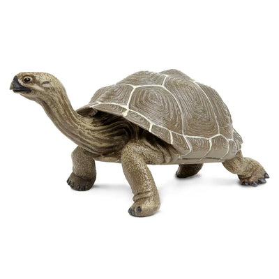 Giant Tortoise
