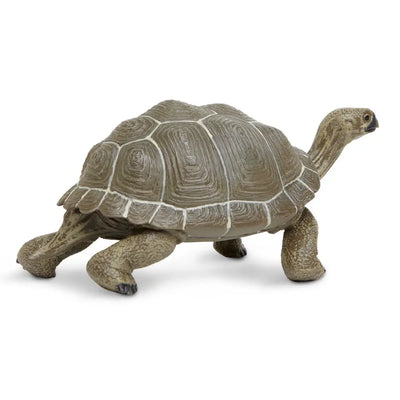 Giant Tortoise