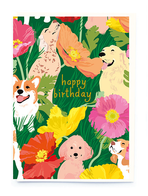 Dogs and Poppies Birthday Card