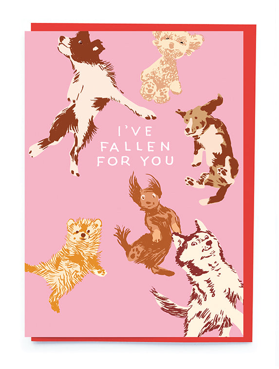 Dogs Falling Greetings Card