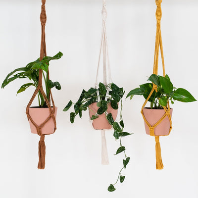 Make Your Own Macramé Plant Hanger Kit