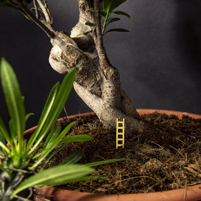 Tiny Birdhouse for Your Plants