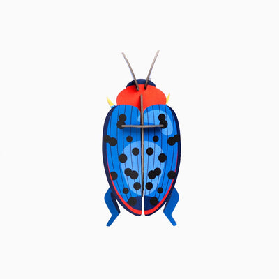3D Insect - Fungus Beetle
