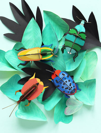 3D Insect - Fungus Beetle