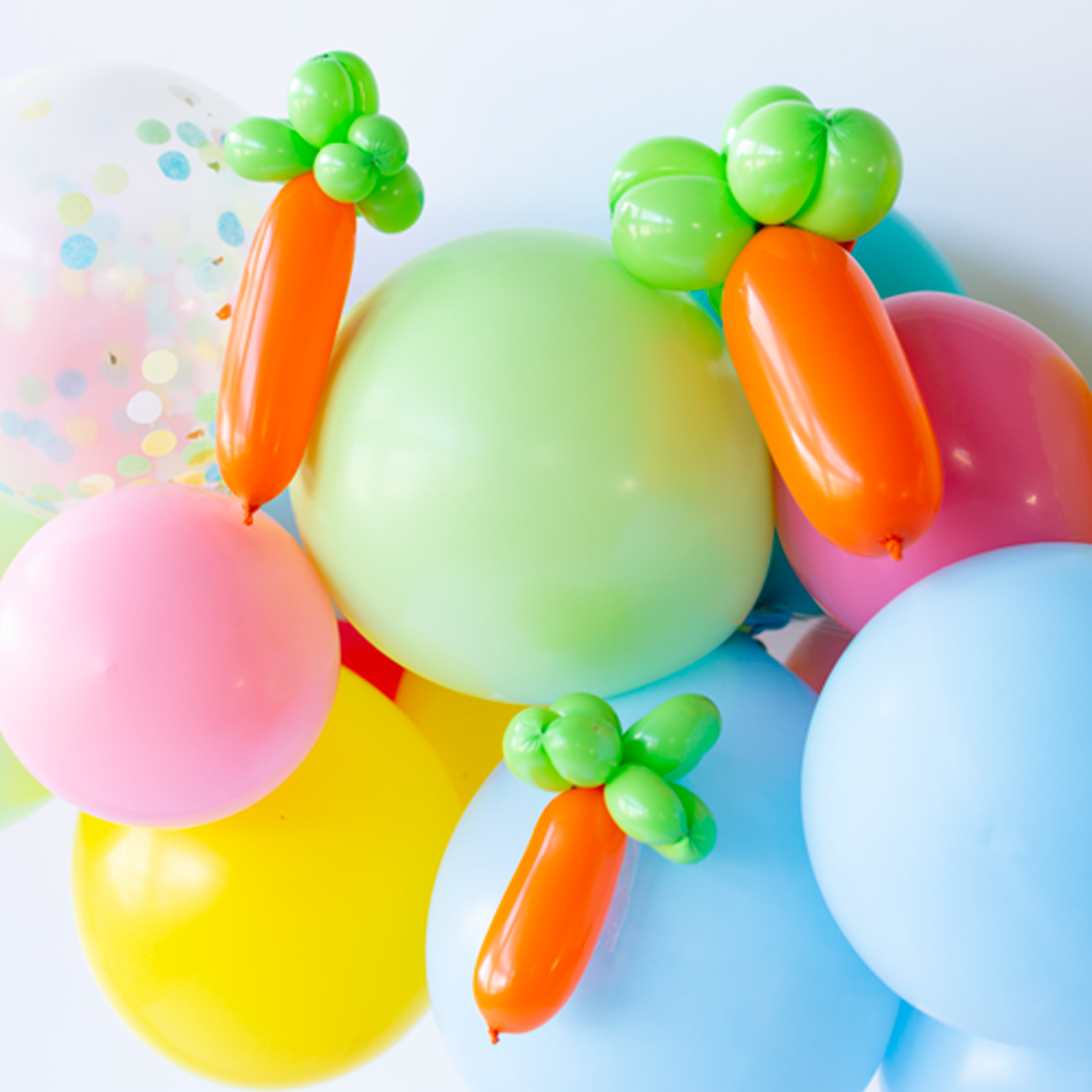 Balloon 'Animal' Kit - Carrot