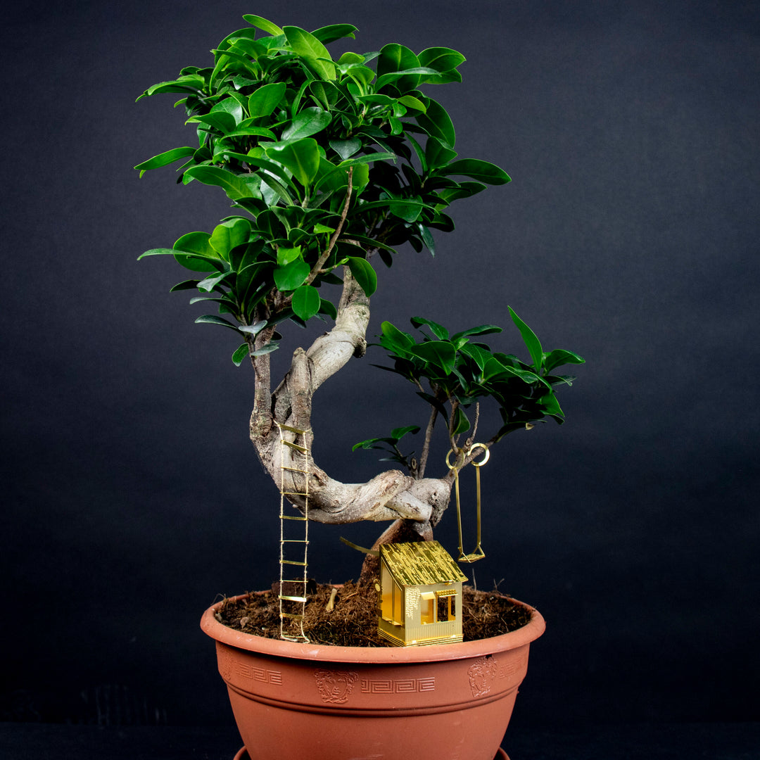 tiny tree house plant Tiny Treehouse for Your Plants – Berylune