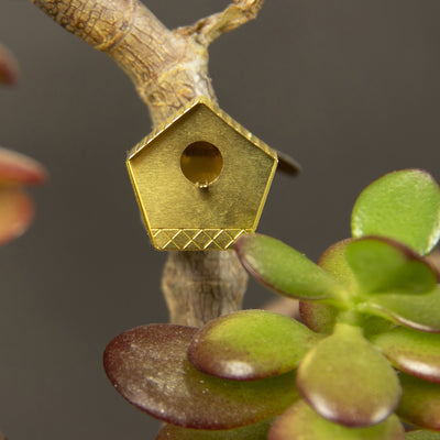 Tiny Birdhouse for Your Plants
