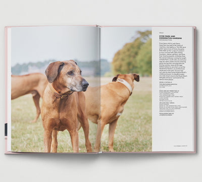Dog Friendly London
