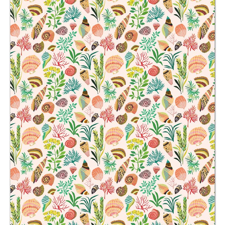 Shells Wrapping Paper by Brie Harrison