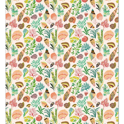 Shells Wrapping Paper by Brie Harrison