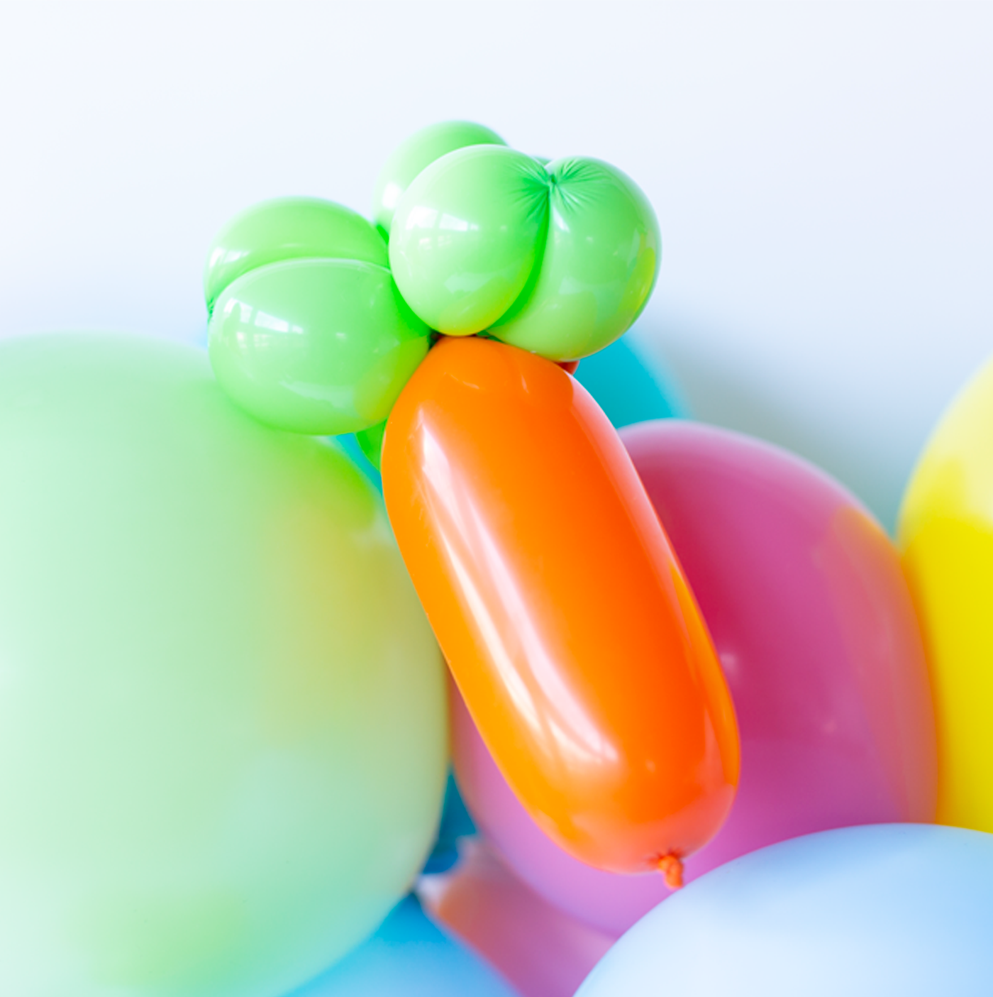 Balloon 'Animal' Kit - Carrot