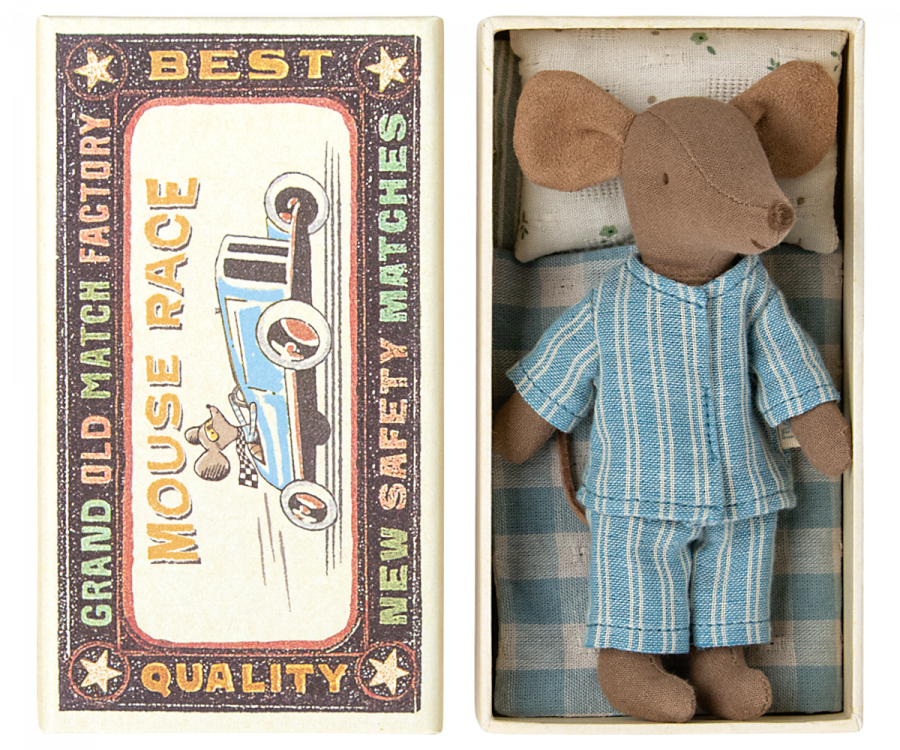 Big Brother Mouse Toy in Matchbox