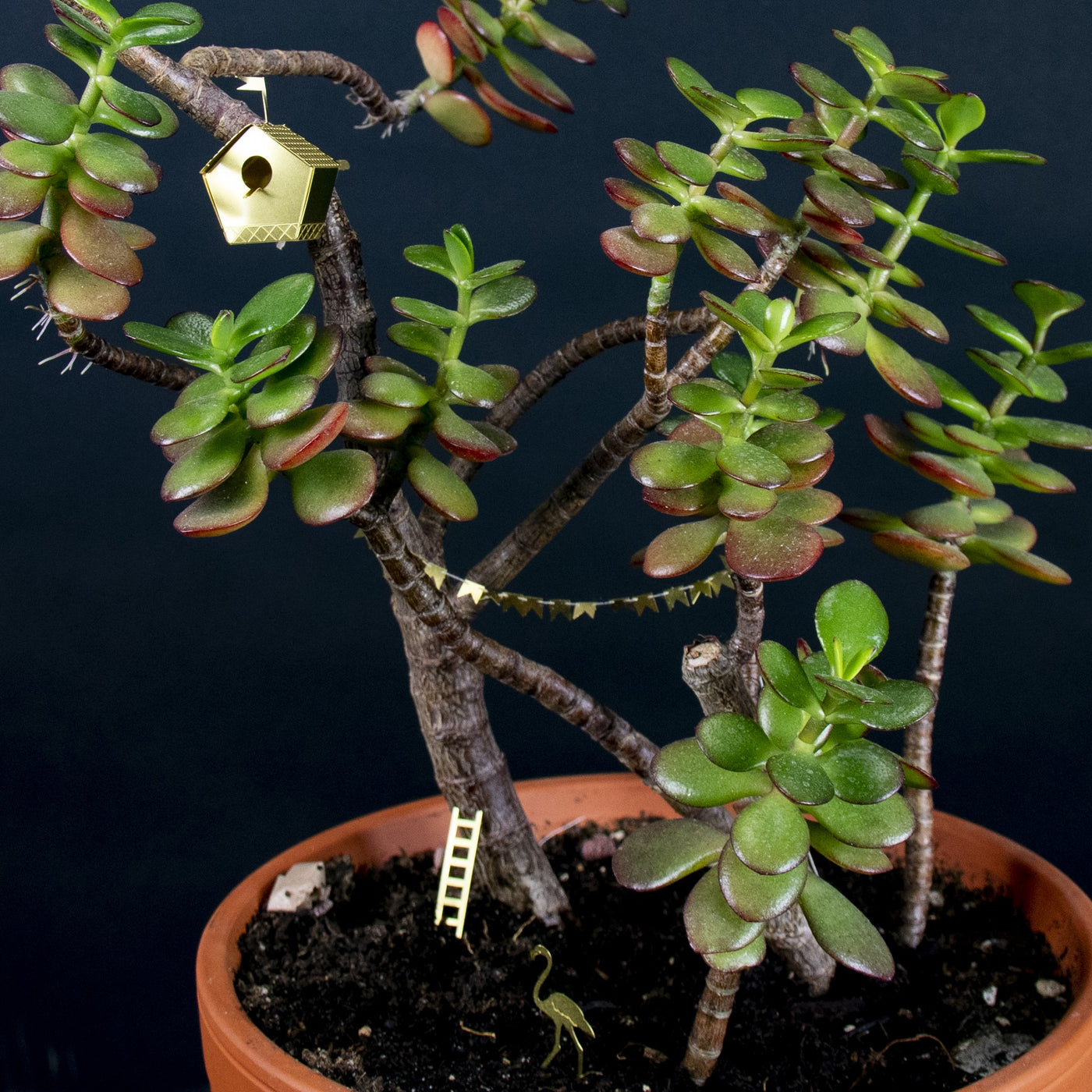 Tiny Birdhouse for Your Plants
