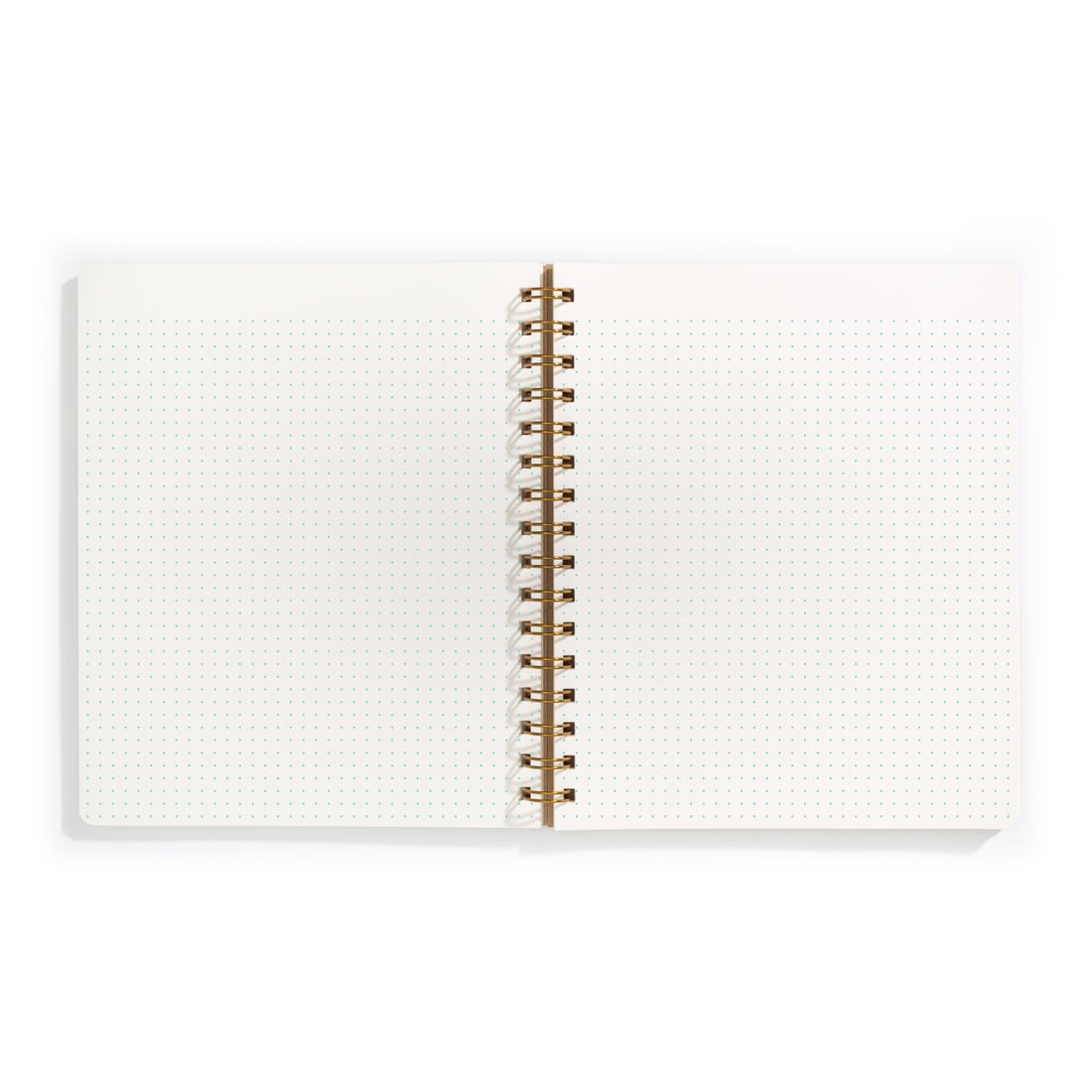 Standard Ringbound Notebook