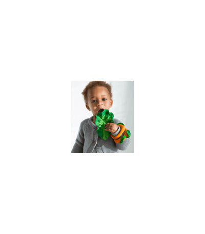 Kendall the Kale Baby Teether