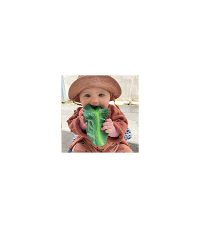 Kendall the Kale Baby Teether