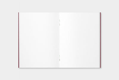 Passport Sized TRAVELER'S Notebook Starter Kit - Camel Leather
