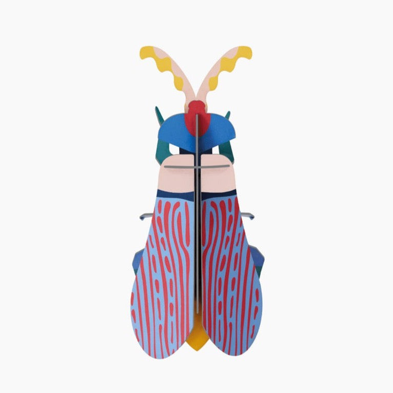 3D Insect - Striped Wing Beetle