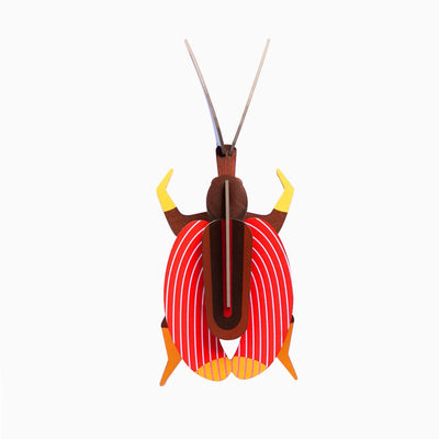 3D Insect - Small Violin Beetle